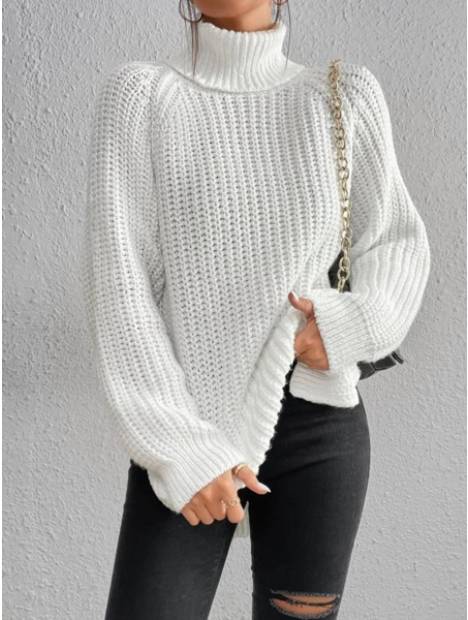 Latia Turtleneck Oversized